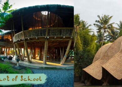 Cultivating Innovation: Building Green Schools with Three Simple Actions